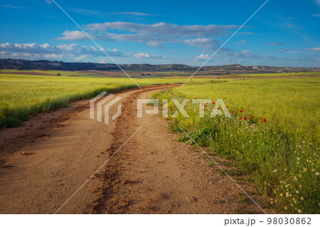 Aerial roads and paths. Colourful Country road. 98030862
