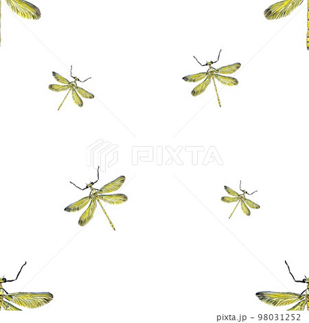 Dragonfly yellow pattern large a watercolor sketch Dragonfly yellow pattern large a watercolor sketch 98031252