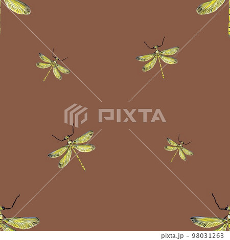 Dragonfly yellow pattern brown a watercolor sketch Dragonfly yellow pattern brown a watercolor sketch 98031263