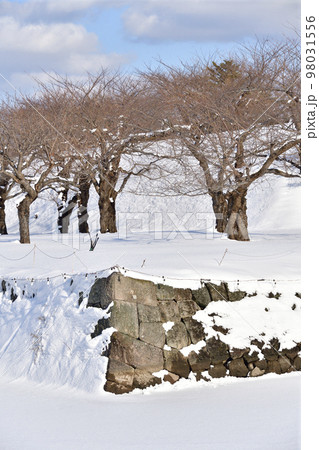 冬の北海道函館市五稜郭公園の雪景色を撮影 冬の北海道函館市五稜郭公園の雪景色を撮影 98031556