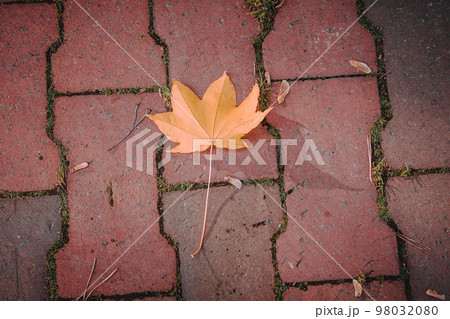百合が原公園の風景 98032080