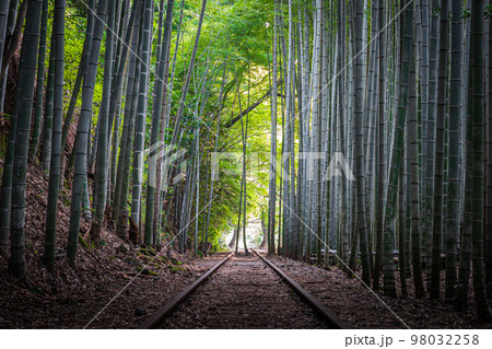 旧国鉄倉吉線　泰久寺駅跡 98032258