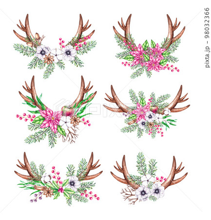 Watercolor set of Christmas horns with needles and flowers on a white background Watercolor set of Christmas horns with needles and flowers on a white background 98032366
