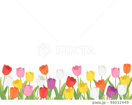 TULIPページ US Stamp #5049 - 2016 49¢ Botanical Art - Tulips, EzGrade