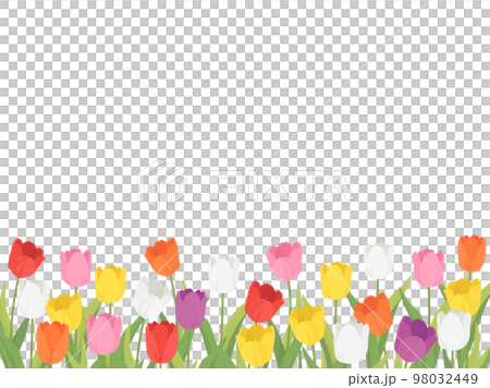 鬱金香田_框架 98032449