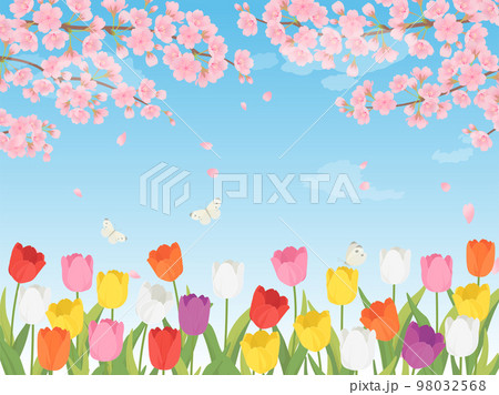 チューリップ畑と桜の春の風景 98032568