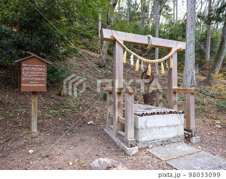 八幡神社松平東照宮　笠掛けの「かえで」と身初めの井戸（跡） 98033099