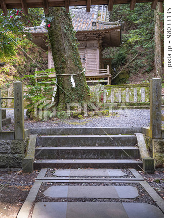 八幡神社松平東照宮　産湯の井戸　御神木 98033135