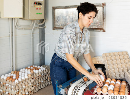 Smiling adult latin woman in plaid shirt and cap collecting eggs in chicken farm 98034026