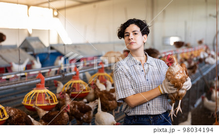 Smiling latin woman in plaid shirt working in chicken farm 98034194