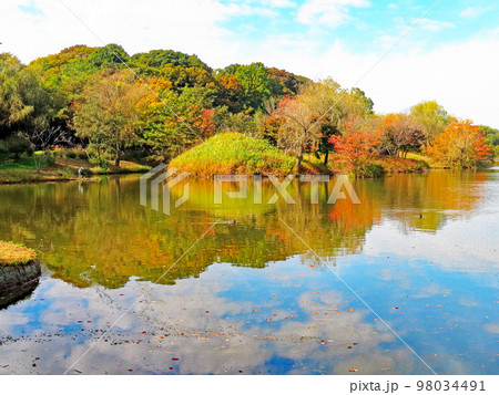 公方公園の秋空 98034491