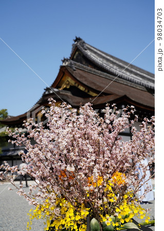 歴史的建造物と桜 98034703