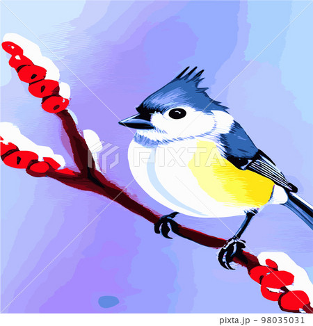 Vector realistic detailed vector illustration winter birds branches. Winter design elements Christmas, holidays. sitting branch. Winter background. Tree branch without leaves with flying birds. 98035031