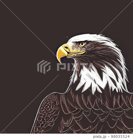 Portrait of a bald eagle. Vector illustration of an American bald eagle in flight .US Symbols Symbols Liberty profile portrait 98035524