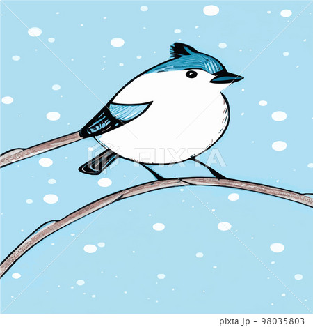 Vector realistic detailed vector illustration of winter birds on branches. Winter design elements for Christmas, New Year, holidays. sitting on a branch. Winter background. 98035803