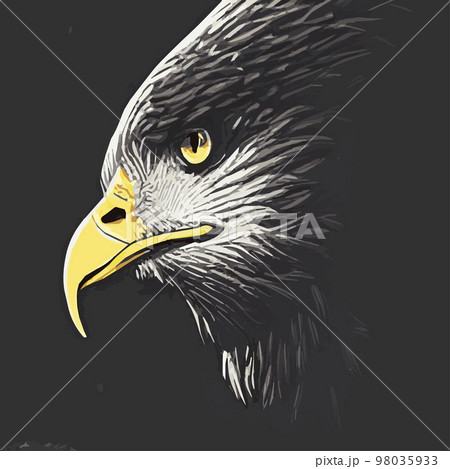 Portrait of a bald eagle. Vector illustration of an American bald eagle in flight .US Symbols Symbols Liberty profile portrait Portrait of a bald eagle. Vector illustration of an American bald eagle in flight .US Symbols Symbols Liberty profile portrait 98035933