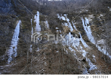 奥秩父中津川の氷壁 奥秩父中津川の氷壁 98037014