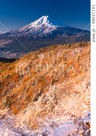 《山梨県》富士山と三段紅葉の三つ峠・紅葉と積雪の共存 《山梨県》富士山と三段紅葉の三つ峠・紅葉と積雪の共存 98037191