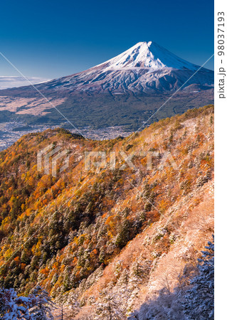 《山梨県》富士山と三段紅葉の三つ峠・紅葉と積雪の共存 《山梨県》富士山と三段紅葉の三つ峠・紅葉と積雪の共存 98037193