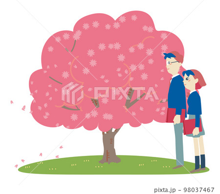 卒業式の日桜の木の下に立つ学生服を着た男女　イラスト素材 98037467