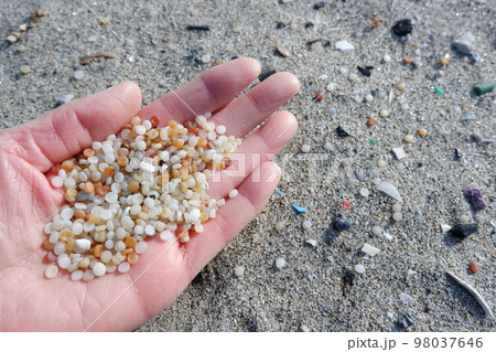 マイクロプラスチック　環境汚染 98037646