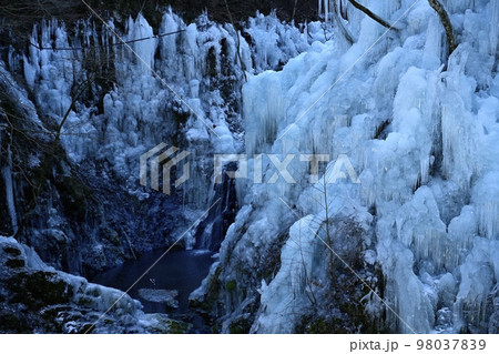 小鹿野町尾ノ内渓谷の尾ノ内百景氷柱 98037839