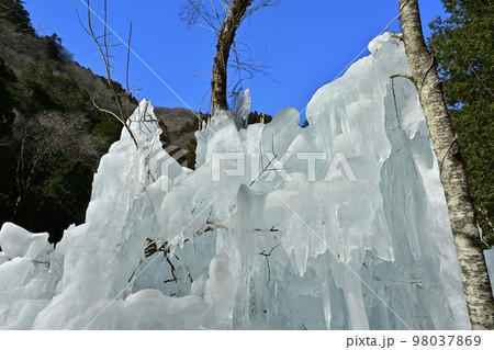 小鹿野町尾ノ内渓谷の尾ノ内百景氷柱 98037869