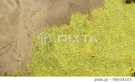 Chemical toxic waste from factory industry. Yellow sulphur powder. Hazardous waste. Acid toxic waste in factory concept. Toxic waste pollution. Soil contamination or soil pollution. Environment issue. 98038103