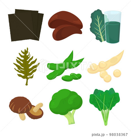 葉酸を含む食品のベクター イラスト。 葉酸を含む食品のベクター イラスト。 98038367