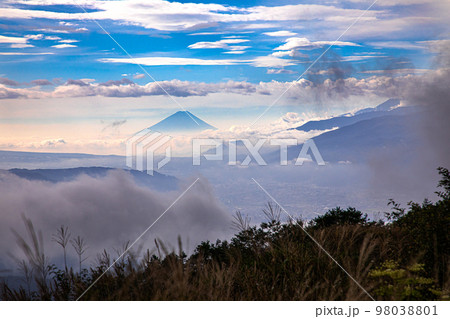 【長野県･諏訪】富士山と諏訪湖の見える夏の高ポッチ高原 夏 8月 98038801