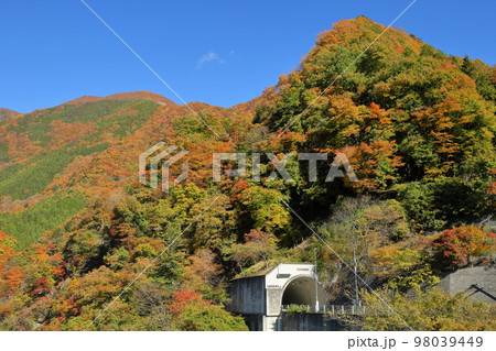 埼玉県秩父市大滝 彩甲斐街道雁坂みち沿い滝沢ダムの奥秩父もみじ湖(中津川)で観られる紅葉の景色 埼玉県秩父市大滝 彩甲斐街道雁坂みち沿い滝沢ダムの奥秩父もみじ湖(中津川)で観られる紅葉の景色 98039449