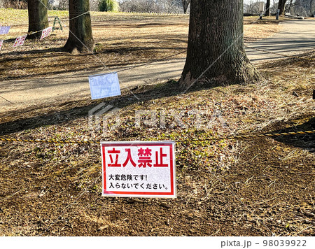 倒木には注意しましょう 98039922