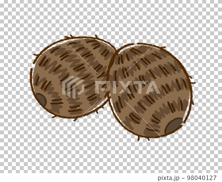 里芋 里芋 98040127