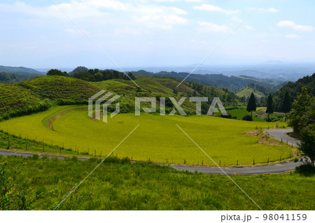 阿蘇産山村　扇棚田と牛の放牧地の農村景観 98041159