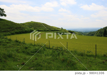 阿蘇郡産山村　扇棚田と牛の放牧地の農村景観 98041306