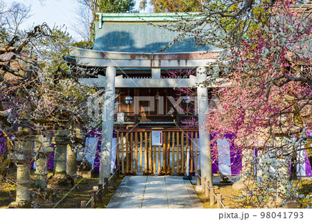 早春の古都京都　北野天満宮　一之保神社・奇御魂神社 98041793