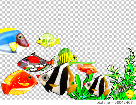 School of fish on the seabed School of fish on the seabed 98042407