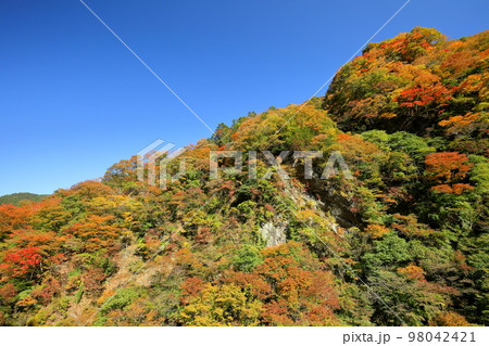 埼玉県秩父市大滝　奥秩父荒川沿い彩甲斐街道雁坂みちに隣接する大血川橋付近の紅葉 98042421
