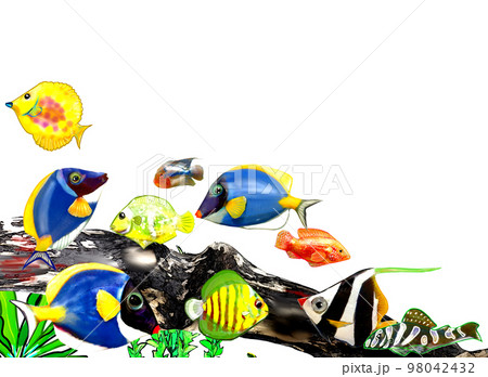 群れる海底の魚たち 98042432