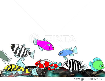 群れる海底の魚たち 98042487