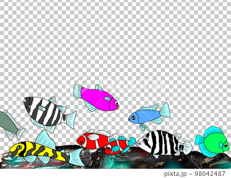 群れる海底の魚たち 98042487