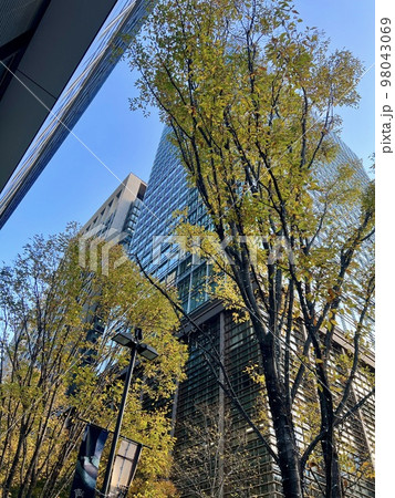 東京：丸の内界隈のビルたち・秋(紅葉)/The buildings in Tokyo 98043069