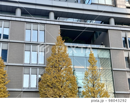 東京：丸の内界隈のビルたち・秋(紅葉)/The buildings in Tokyo 98043292