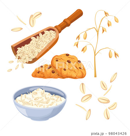 oatmeal food healthy set cartoon vector illustration 98043426