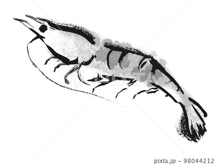 海老和風筆描きイラスト 白黒,モノクロ,単色,のイラスト素材