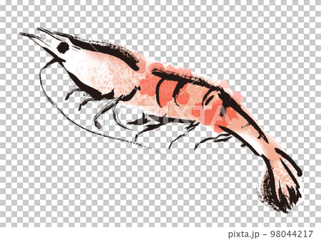 海老和風筆描きイラスト 98044217