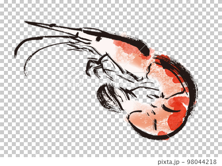 海老和風筆描きイラスト 98044218