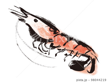 海老和風筆描きイラスト 海老和風筆描きイラスト 98044219