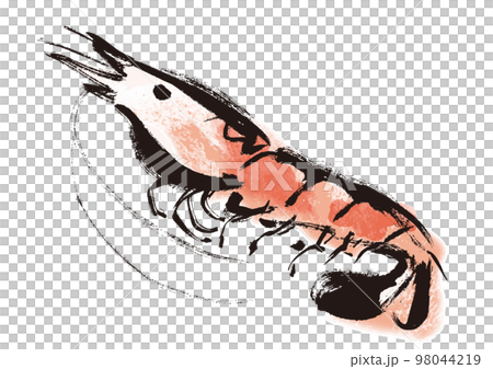 海老和風筆描きイラスト 海老和風筆描きイラスト 98044219