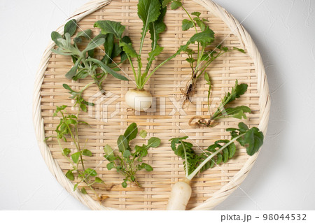 春の七草 春の七草 98044532